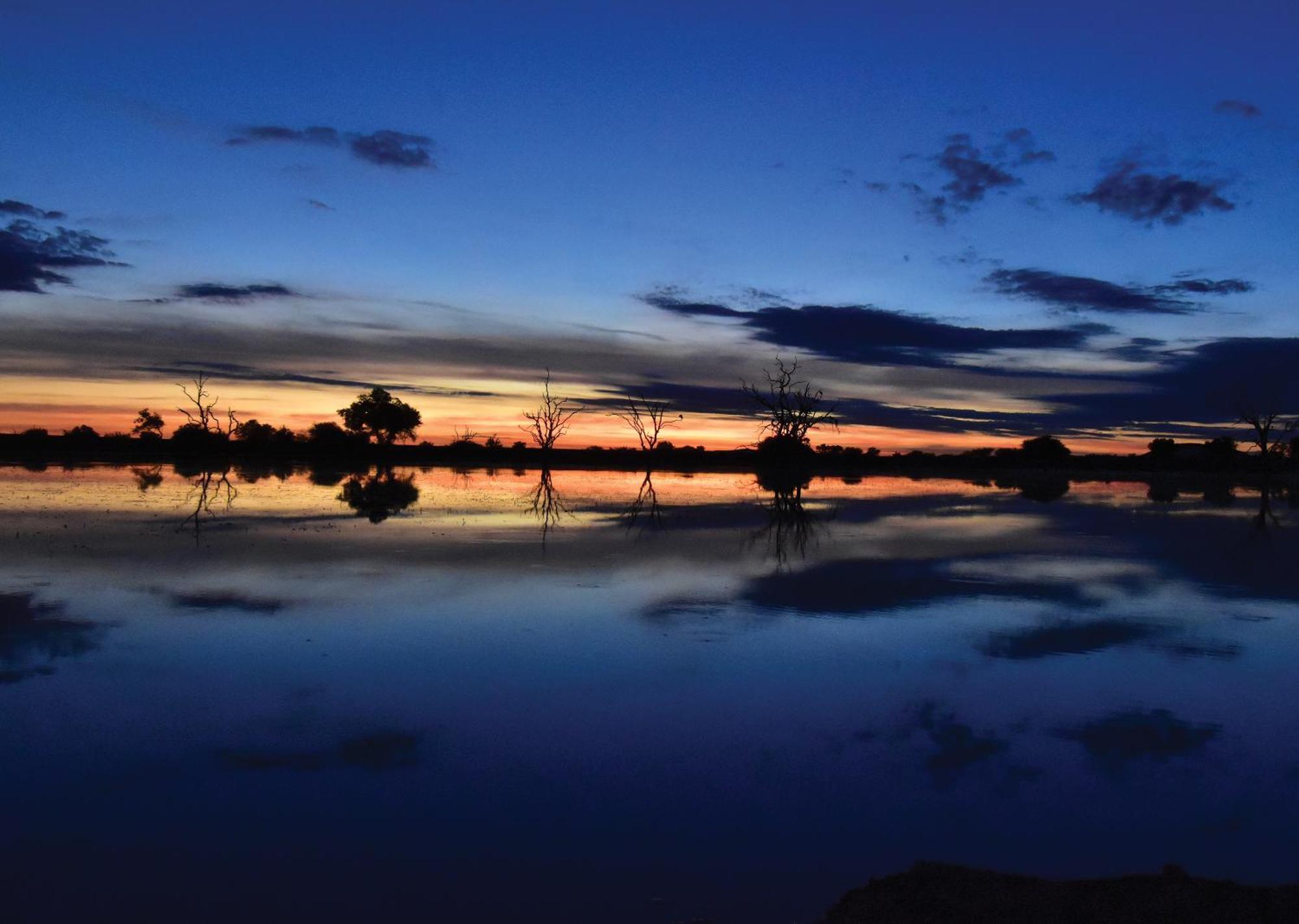 Madikwe River Lodge By Dream Resorts Мадікве-Ґейм-Резерв Екстер'єр фото