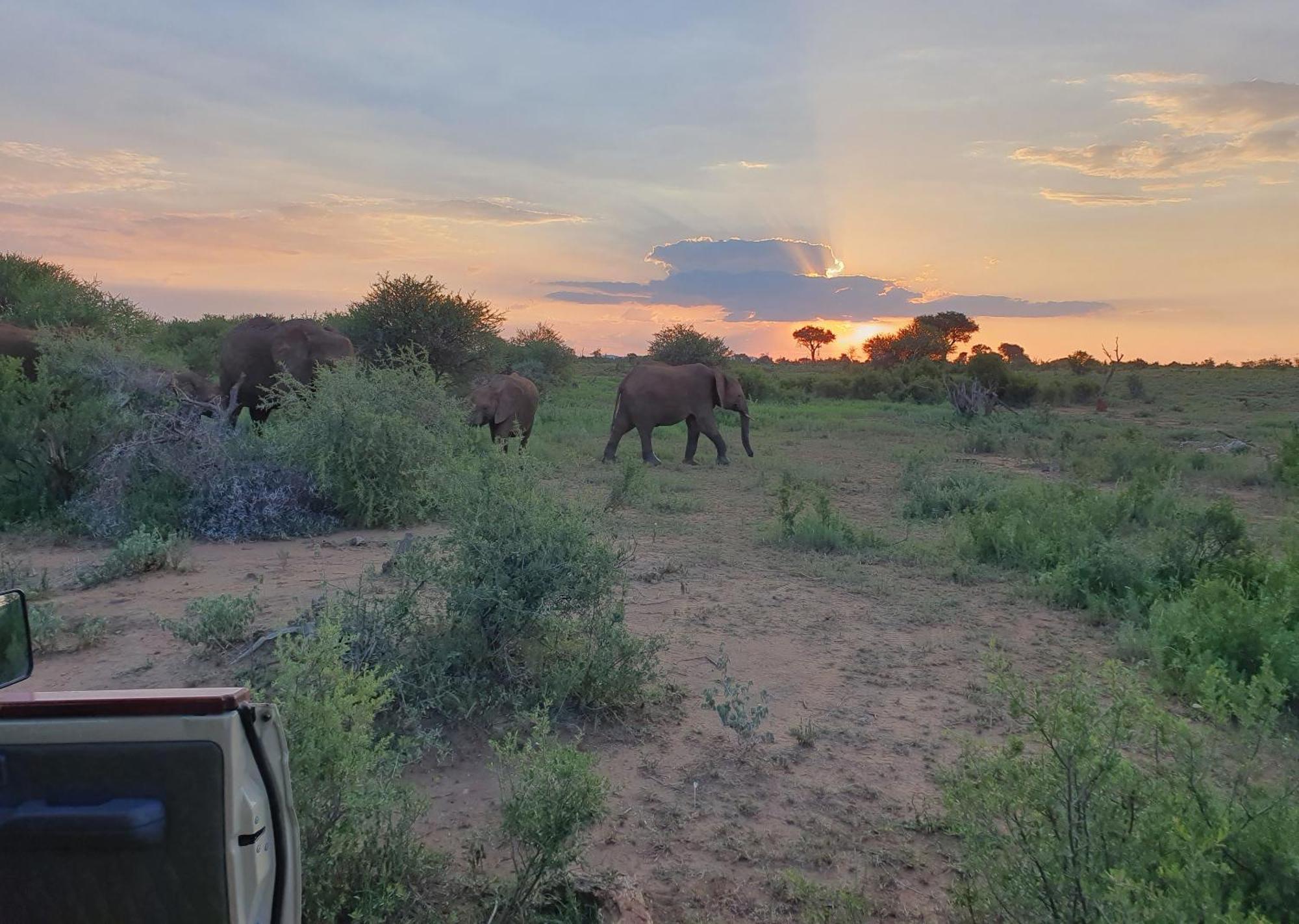 Madikwe River Lodge By Dream Resorts Мадікве-Ґейм-Резерв Екстер'єр фото