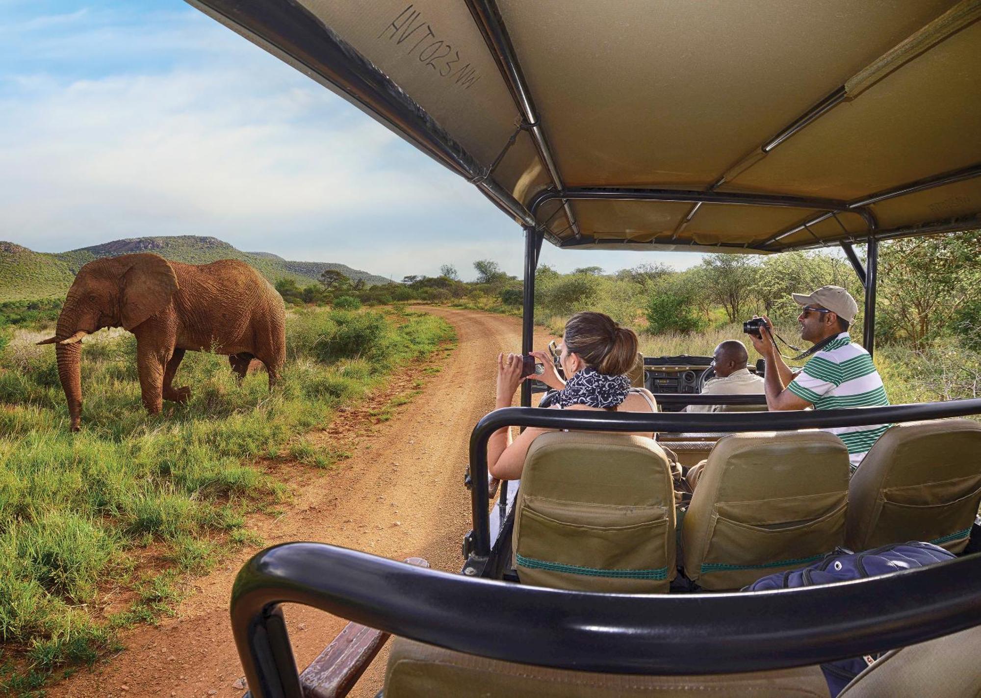 Madikwe River Lodge By Dream Resorts Мадікве-Ґейм-Резерв Екстер'єр фото