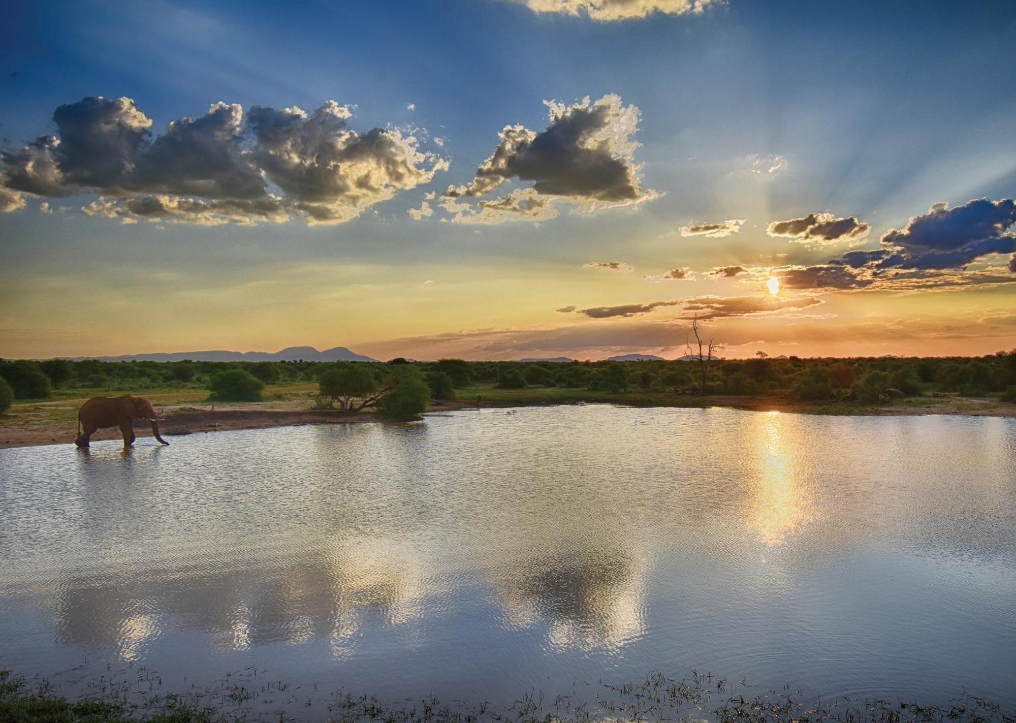 Madikwe River Lodge By Dream Resorts Мадікве-Ґейм-Резерв Екстер'єр фото