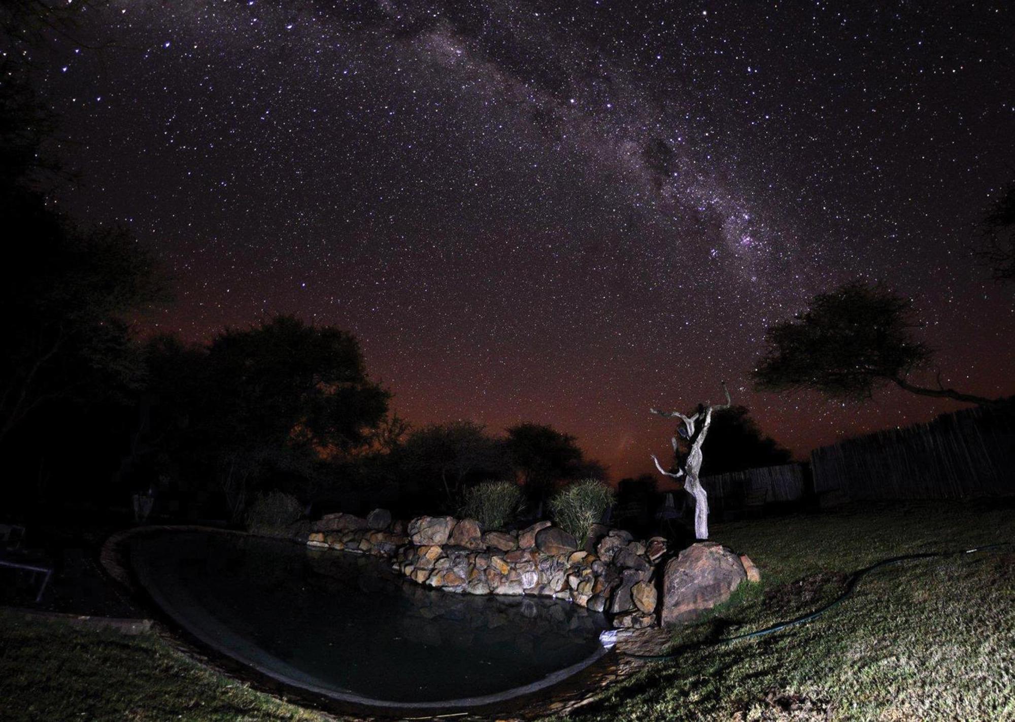 Madikwe River Lodge By Dream Resorts Мадікве-Ґейм-Резерв Екстер'єр фото