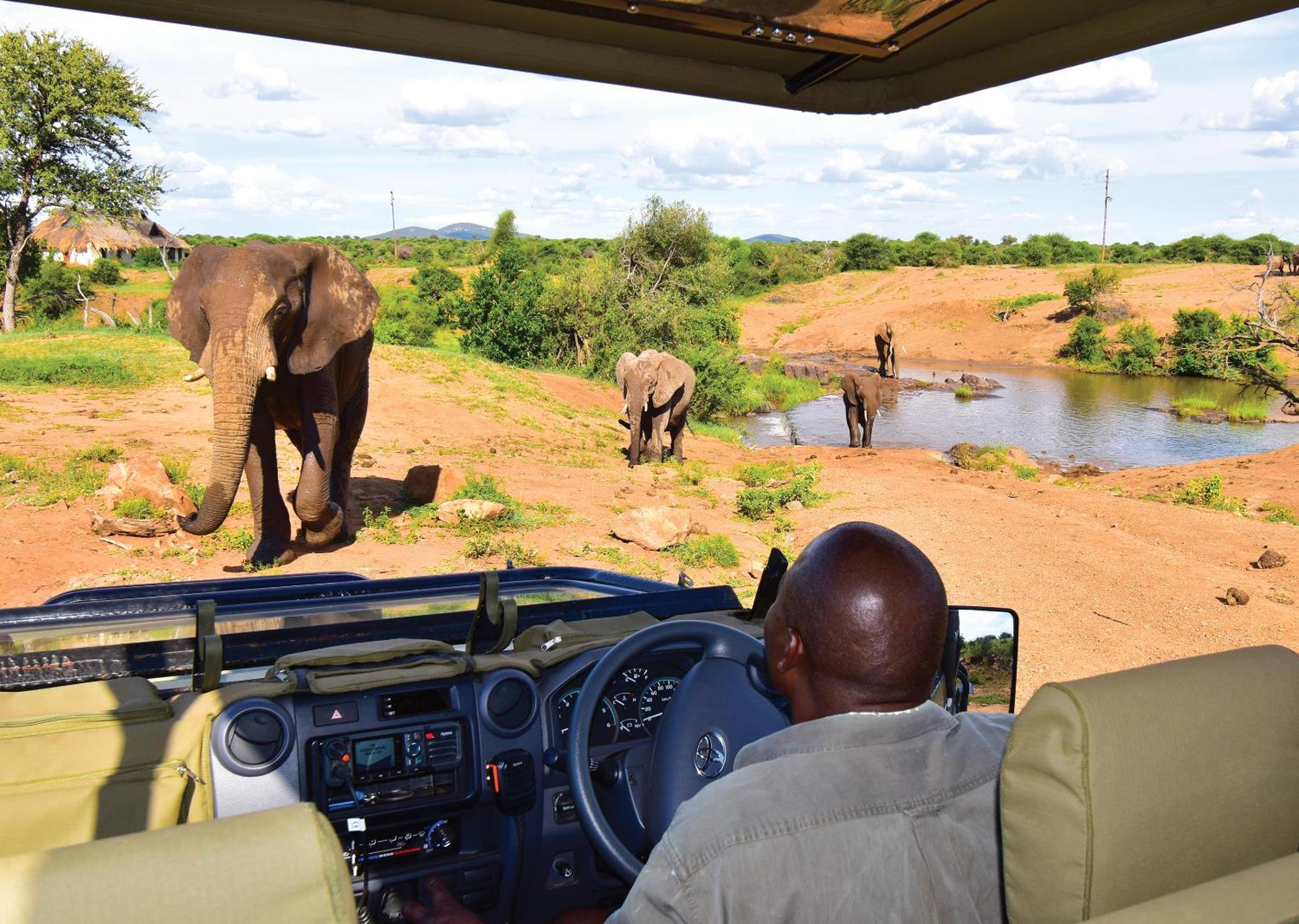 Madikwe River Lodge By Dream Resorts Мадікве-Ґейм-Резерв Екстер'єр фото