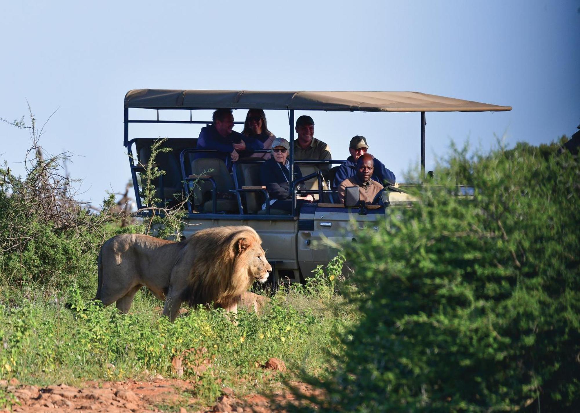 Madikwe River Lodge By Dream Resorts Мадікве-Ґейм-Резерв Екстер'єр фото