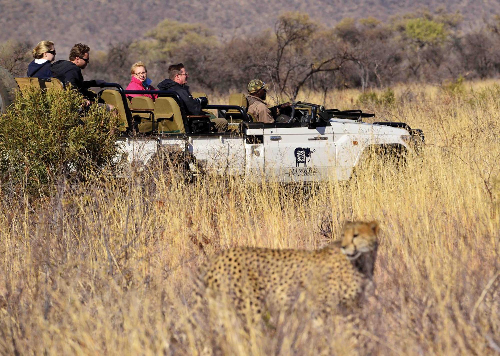 Madikwe River Lodge By Dream Resorts Мадікве-Ґейм-Резерв Екстер'єр фото