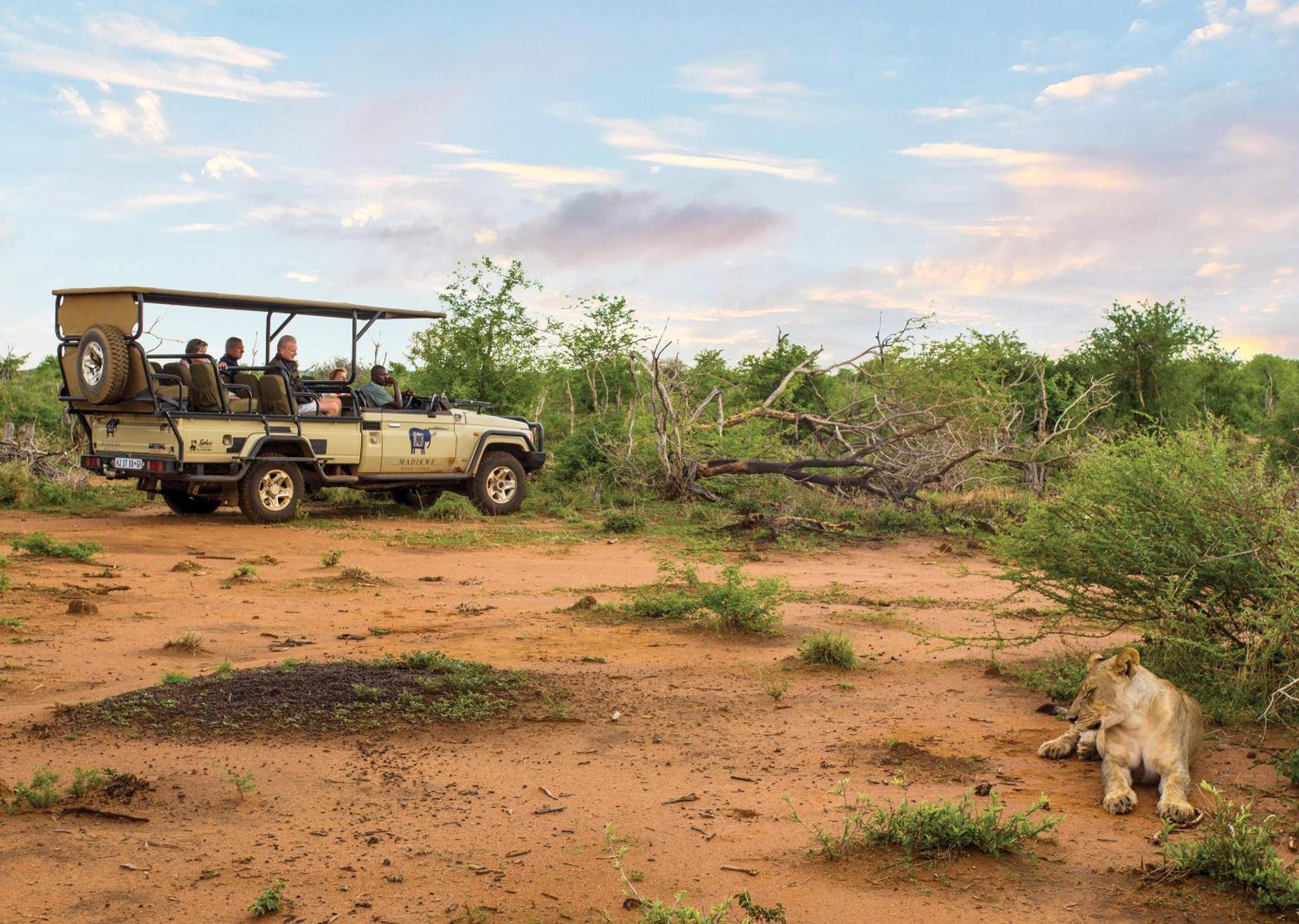 Madikwe River Lodge By Dream Resorts Мадікве-Ґейм-Резерв Екстер'єр фото