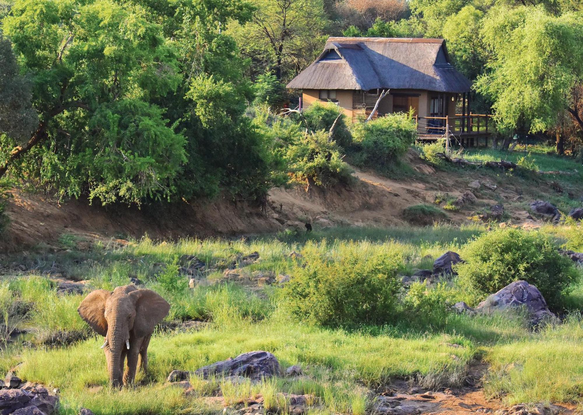 Madikwe River Lodge By Dream Resorts Мадікве-Ґейм-Резерв Номер фото