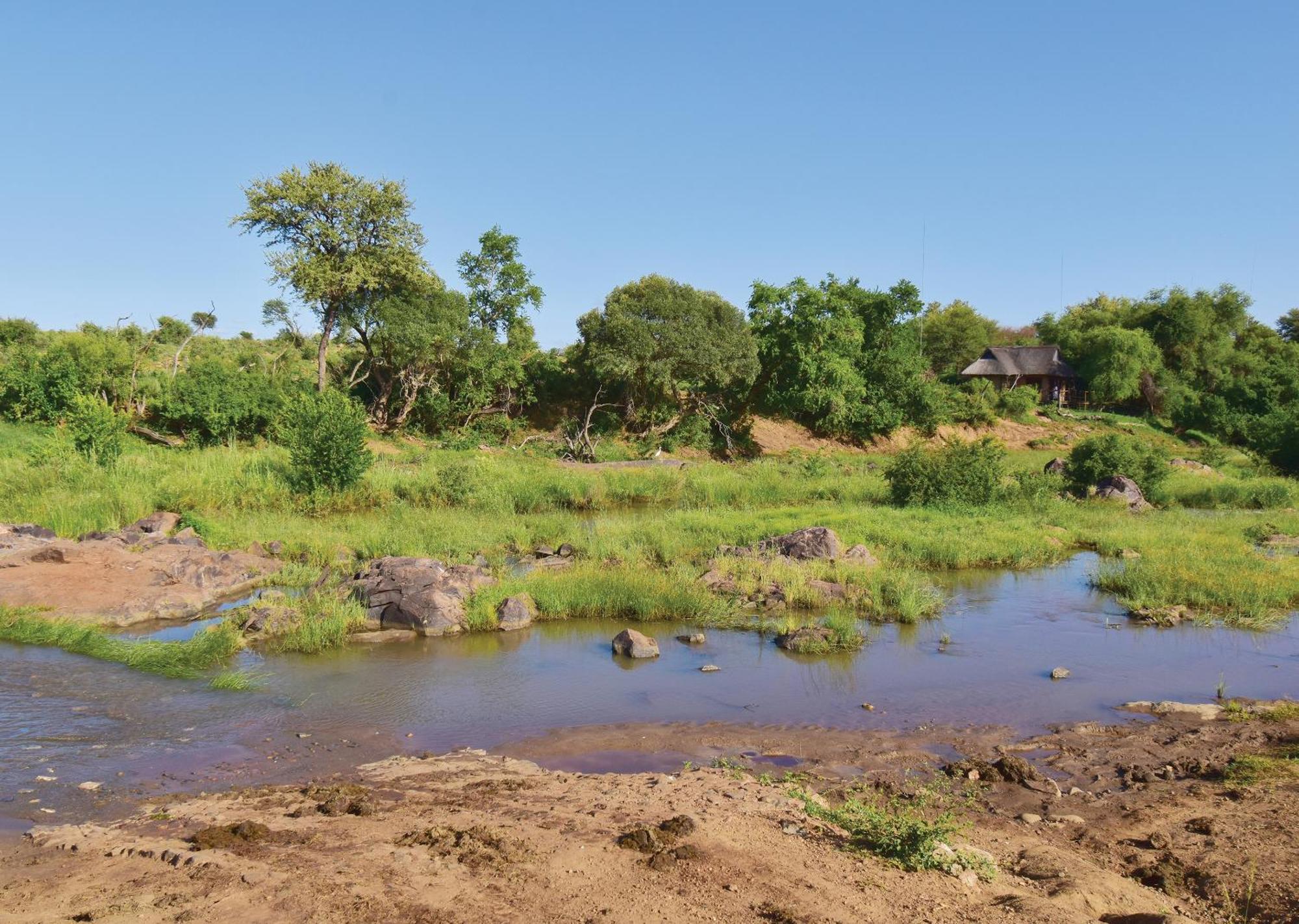 Madikwe River Lodge By Dream Resorts Мадікве-Ґейм-Резерв Номер фото